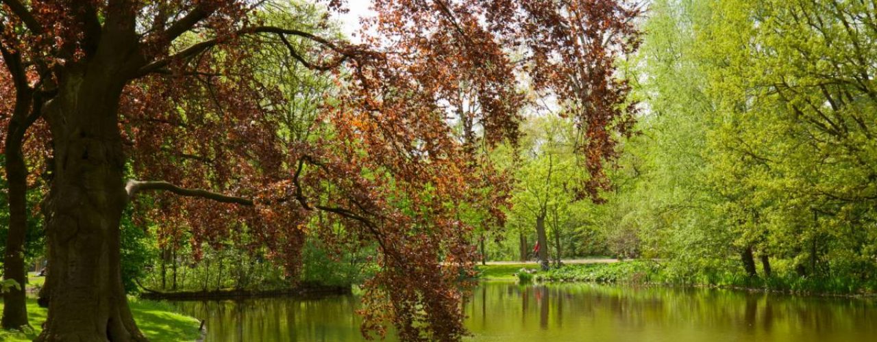 mooiste parken in Amsterdam